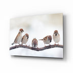 Birds Glass Wall Art