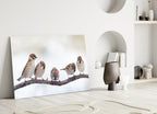Birds Glass Wall Art