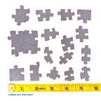 Popular Backyard Wild Birds of North America 1000 Piece Jigsaw Puzzle Cobble Hill