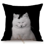 Modern Black And White Animals Portrait Photography Of Lion Zebra Elephant Tiger Pattern Sofa Pillow Cover Home Decor Square Cushions Cover 45x45cm